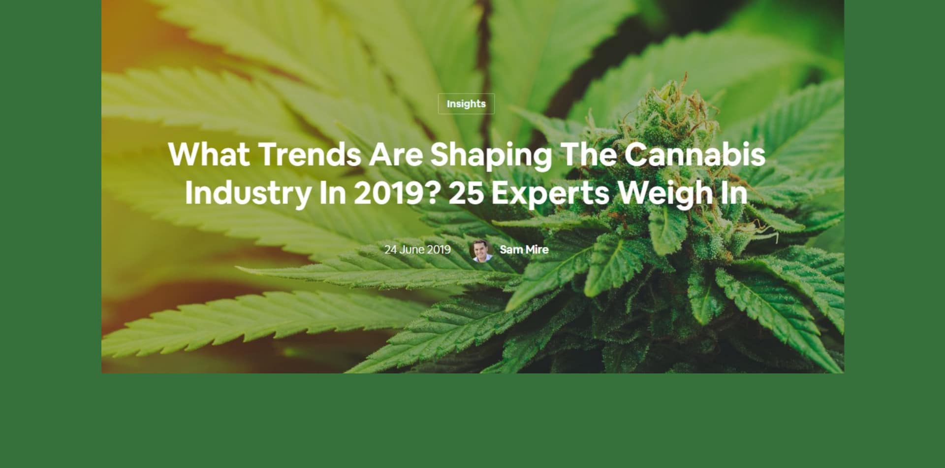 Quali tendenze caratterizzeranno l'industria della cannabis nel 2019? 25 esperti dicono la loro