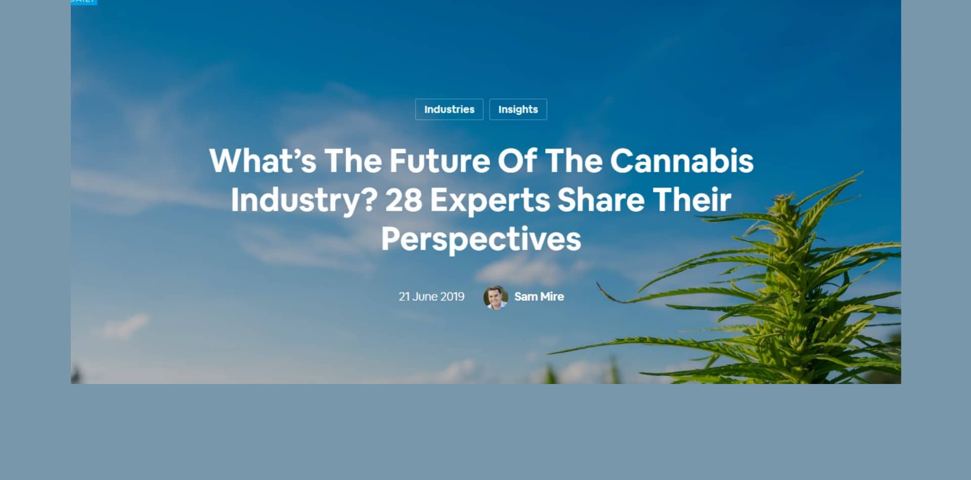 Quel est l'avenir de l'industrie du cannabis ? 28 experts partagent leurs points de vue