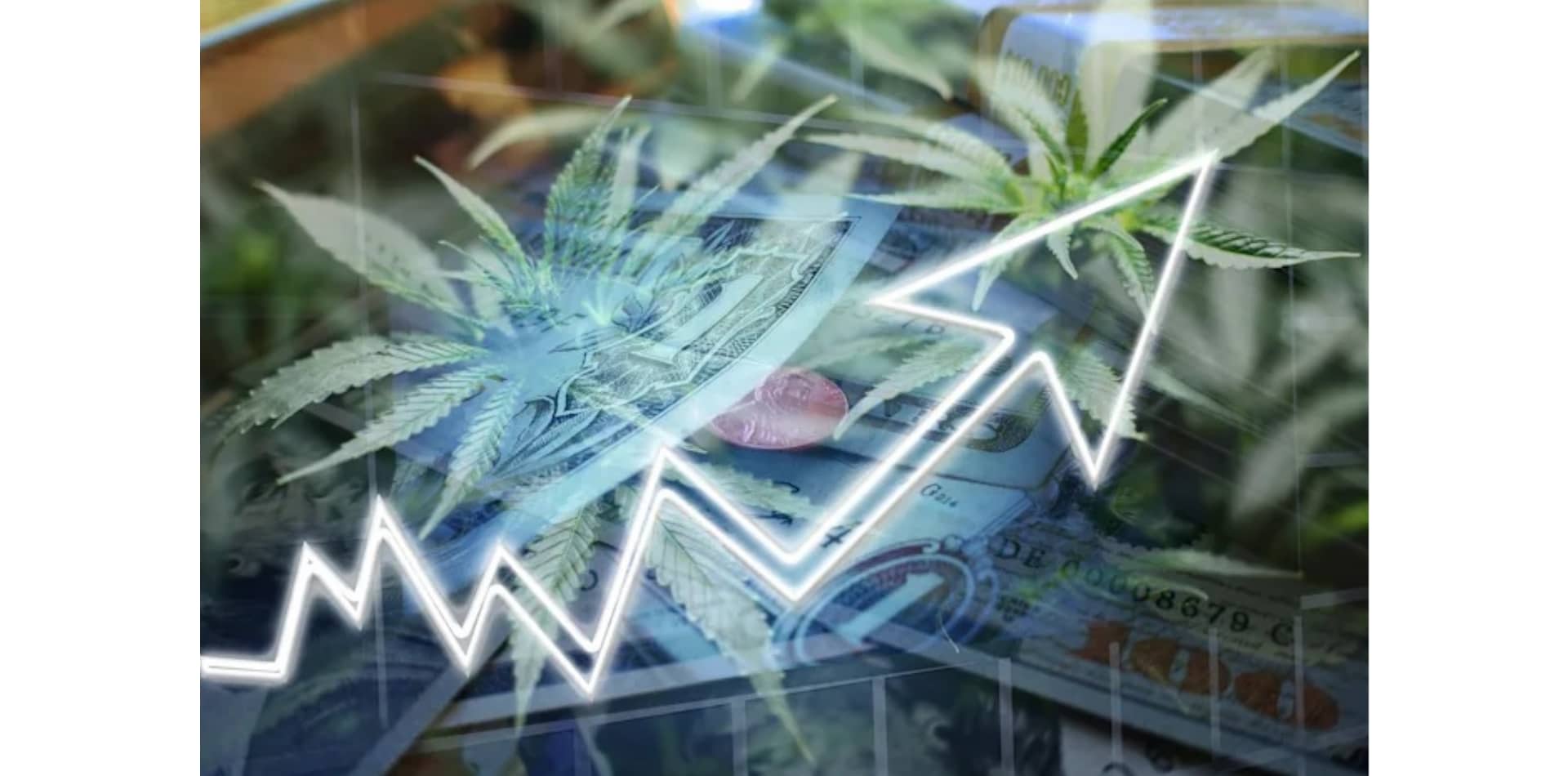 Il Regno Unito registrerà la maggiore crescita del mercato della cannabis terapeutica in Europa dal 2020 al 2025