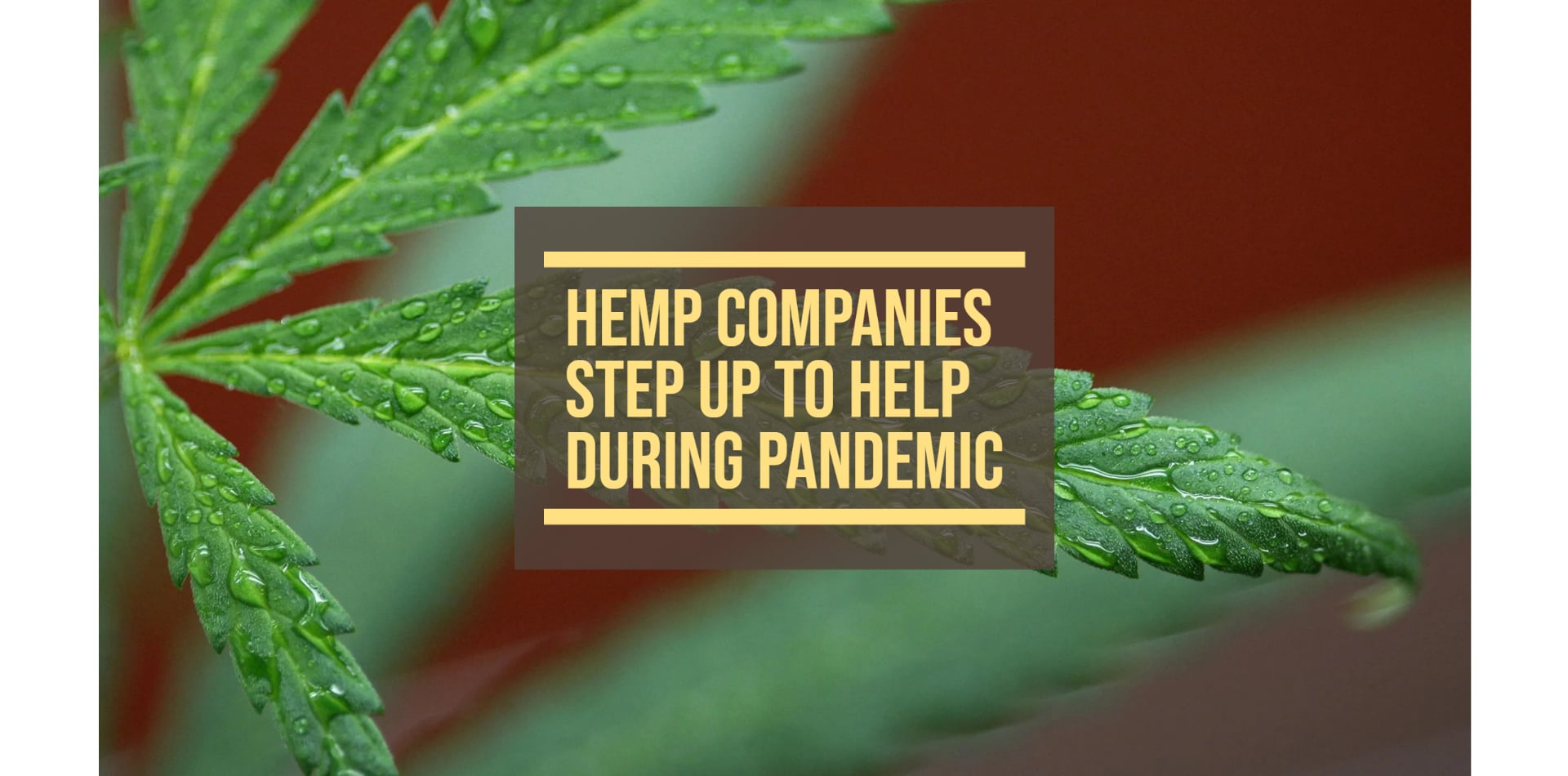 Hemp Companies Step Up To Help During Pandemic