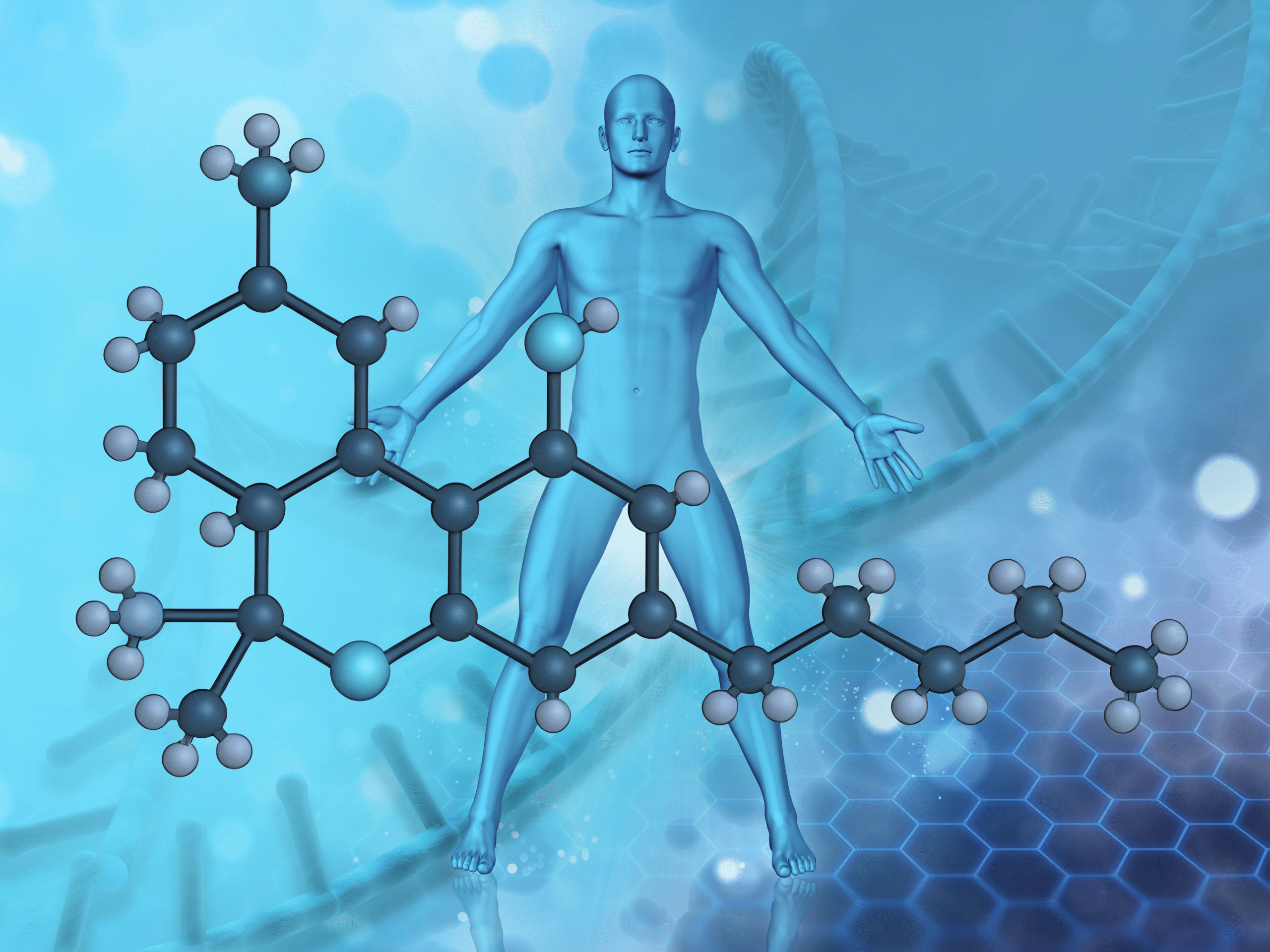 2. DÉMYSTIFIER LE THC