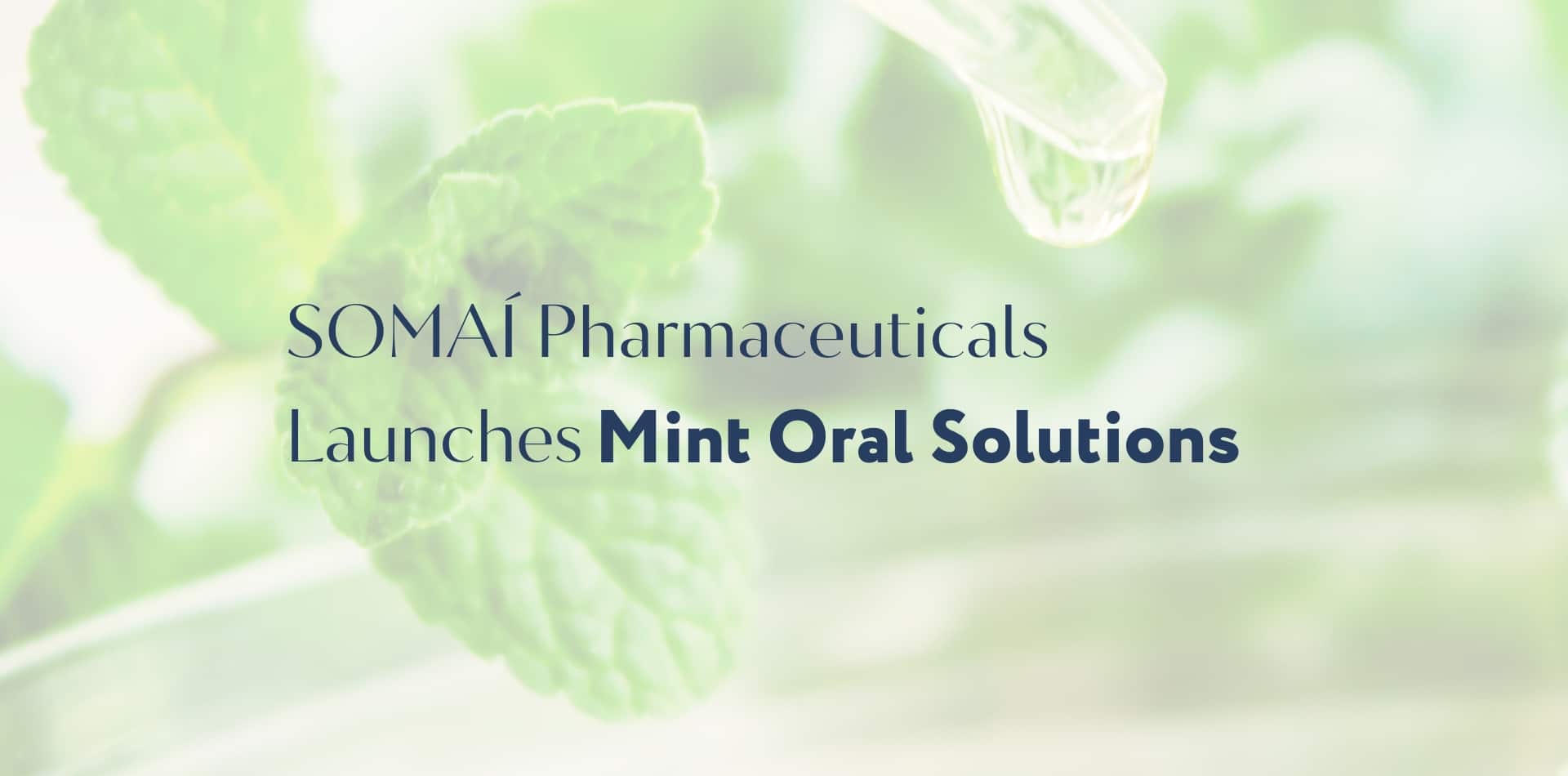 SOMAÍ Pharmaceuticals élargit son portefeuille de cannabis médicinal le plus complet avec le lancement d'une nouvelle gamme de solutions orales à base de menthe.