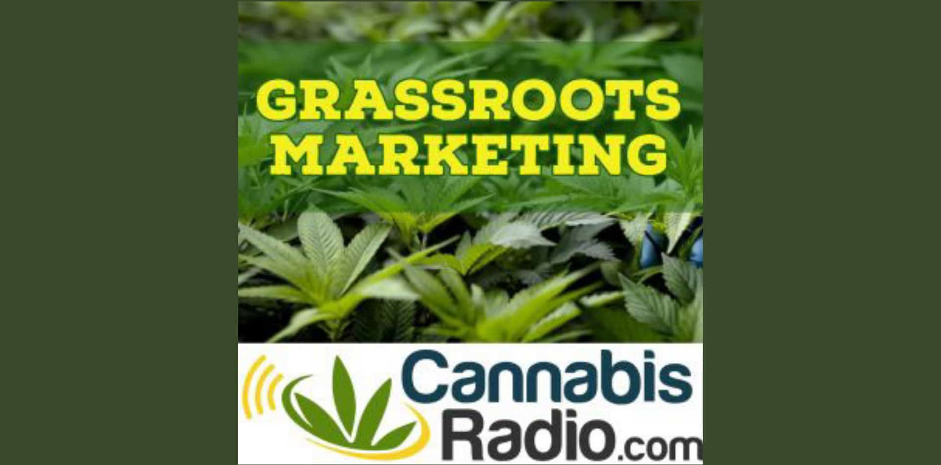 Glassroots Marketing Podcast : Le cannabis pharmaceutique et l'influence des grandes sociétés pharmaceutiques